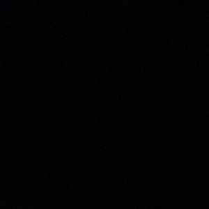 Meet your Posher, Pearl